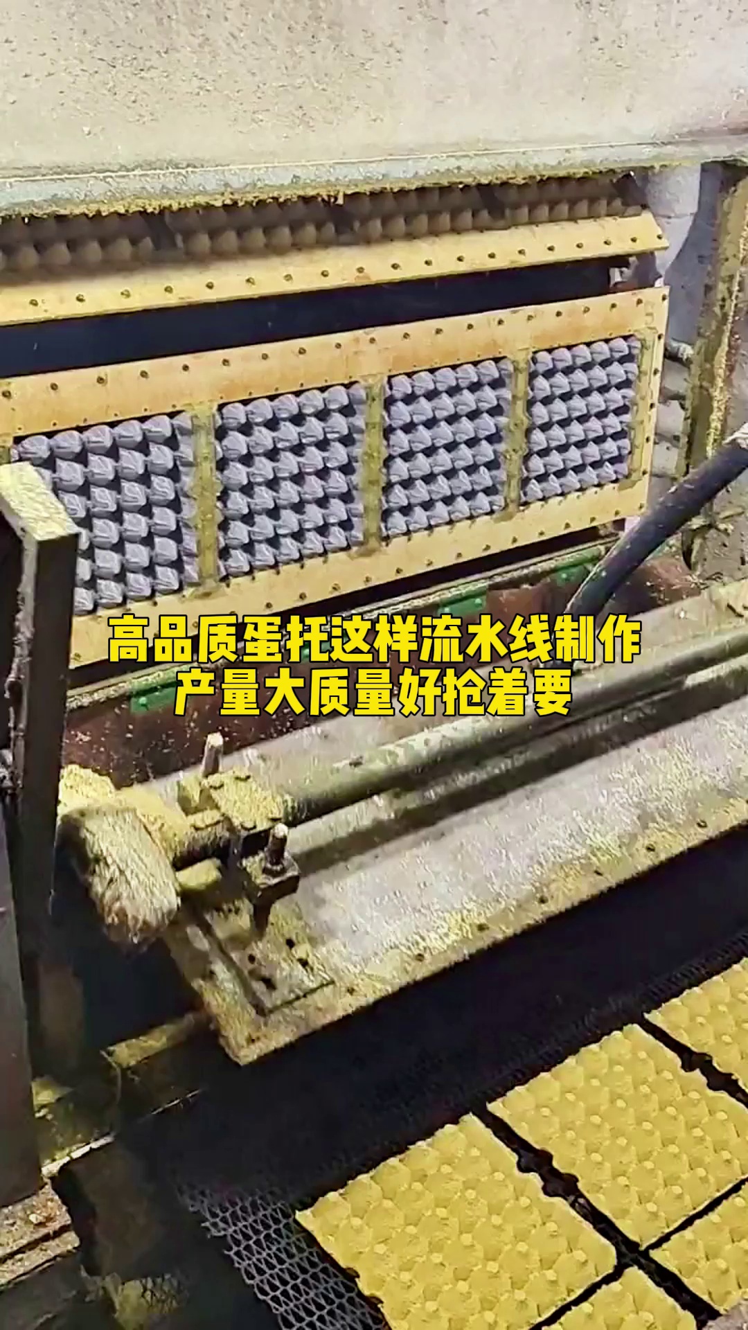 高质量蛋托是这样制作的 鸡蛋托 蛋托机 鸡蛋蛋托