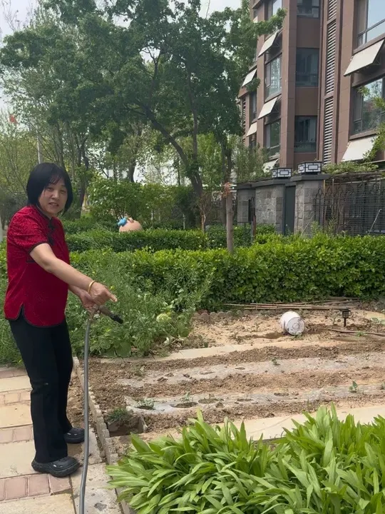 孩子们都出差工作了,我把家里都照顾好,看俺家老二的小院是不是很温馨呀