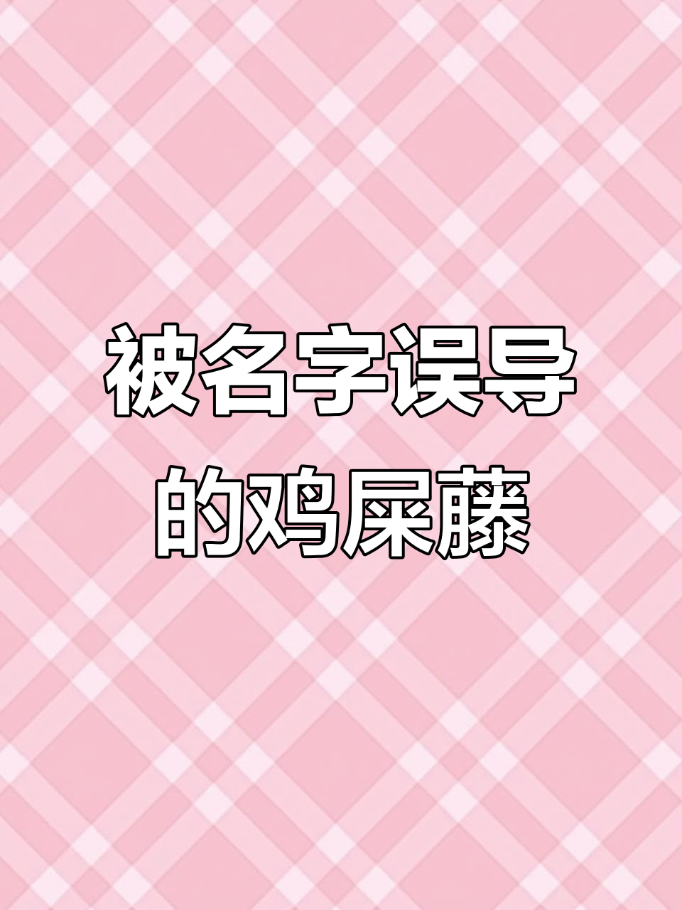 海南糖水界的“隐藏冠军”——鸡屎藤的秘密