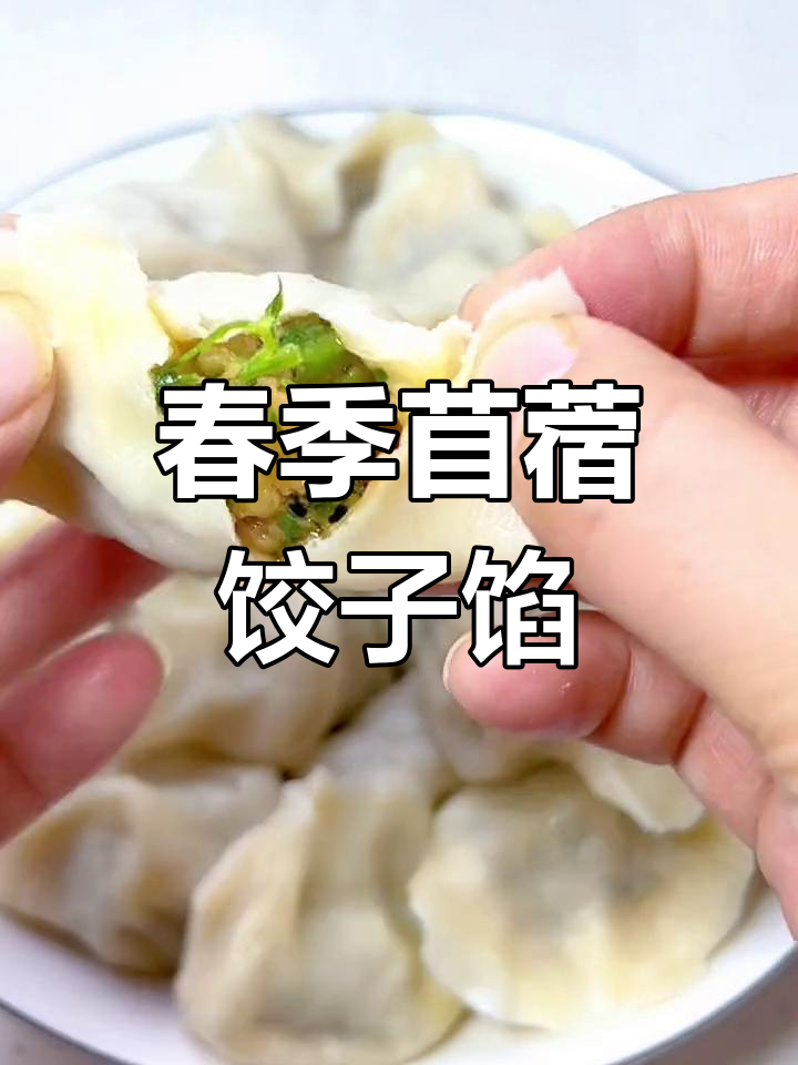 春天野菜美味做法,苜蓿饺子馅料大揭秘