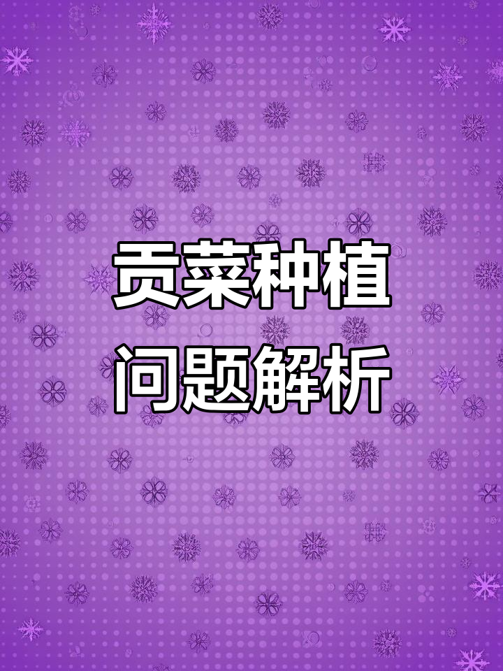 今年贡菜种植难题:过早栽种导致损失,气温把控很重要