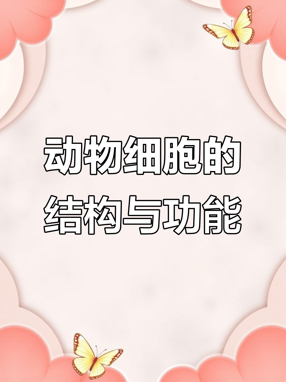 动物细胞的基本结构与功能解析
