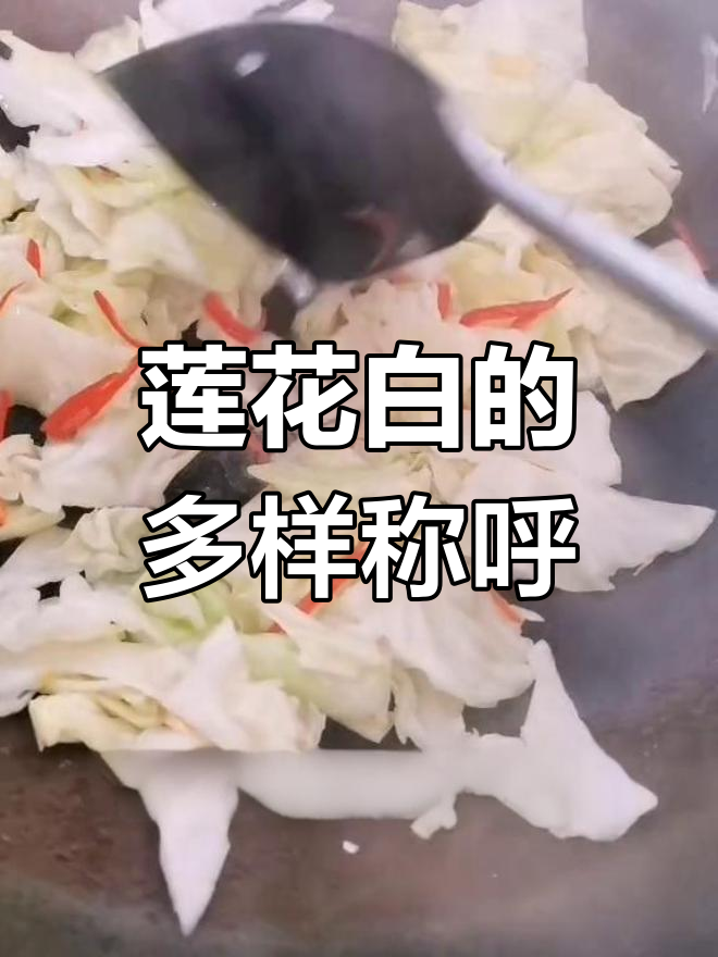 换个口味,莲花白(甘蓝)多种叫法,卷心菜金白菜任选