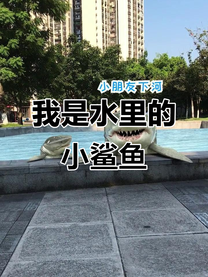 水里的小鲨鱼,肚子饿了就来咬人!