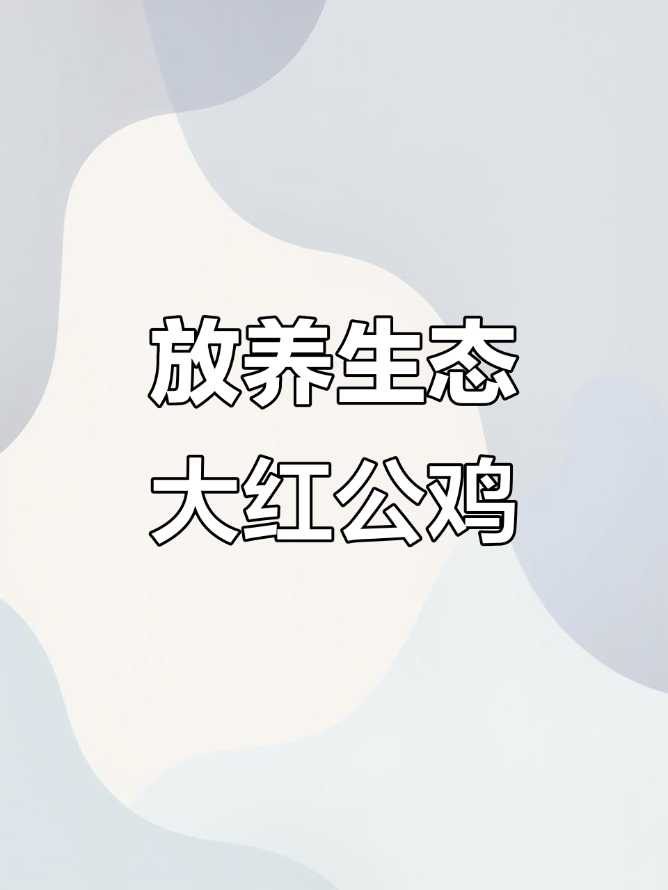 生态放养大红公鸡,优质土鸡苗助力健康养殖