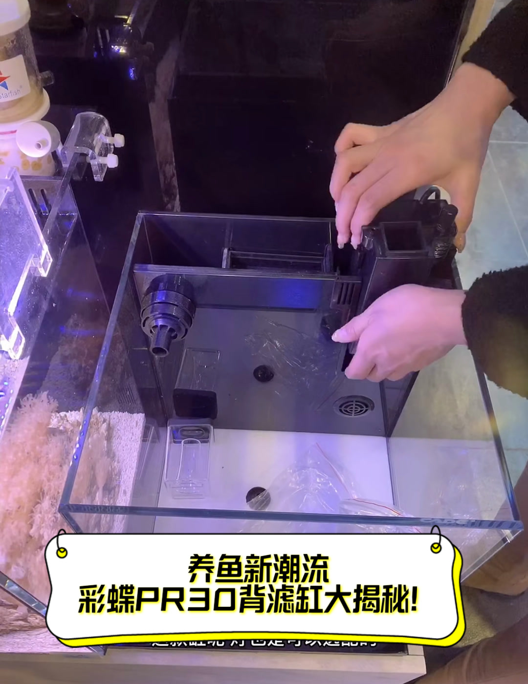 养鱼新潮流,彩蝶PR30背滤缸大揭秘!