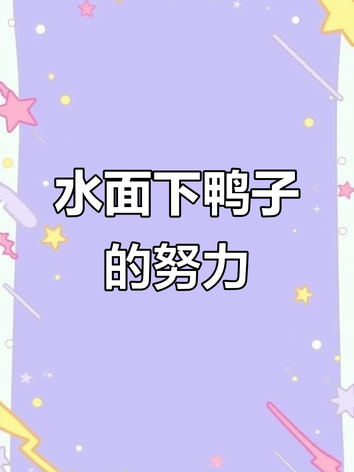鸭子划水背后的力量与从容,水面下的拼搏你看见了吗?