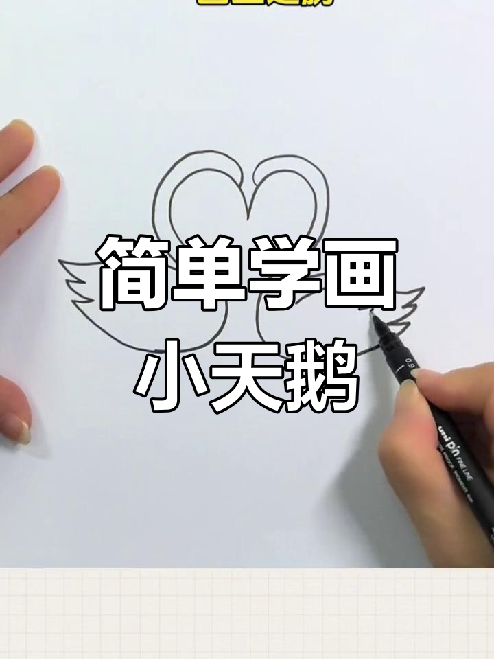 用字母S和数字2轻松画小天鹅