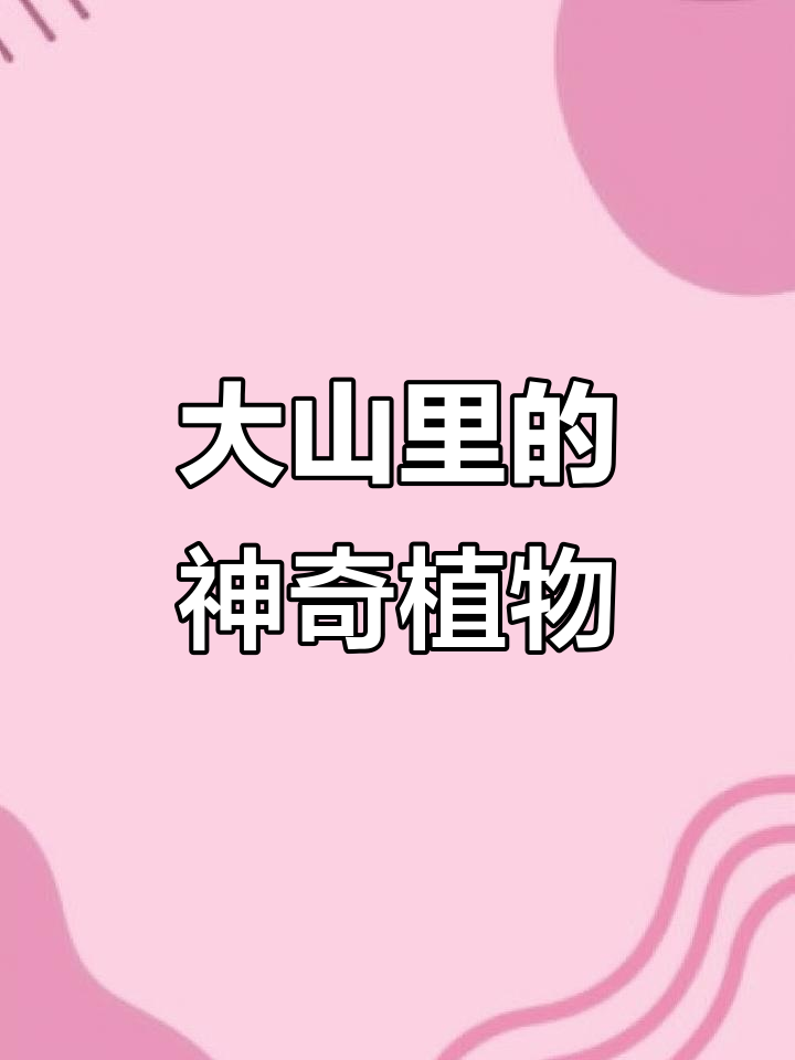 云贵川的神秘植物,七七菜与喊叫马扎沟的故事