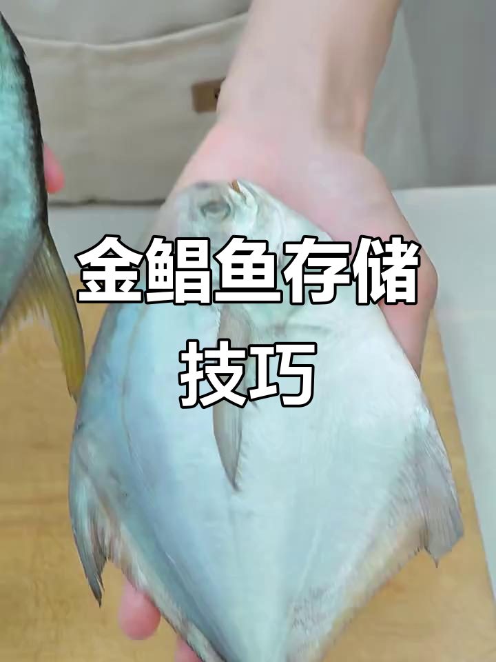 金鲳鱼与银鲳鱼的差异:养殖方式决定价格,如何储存更美味