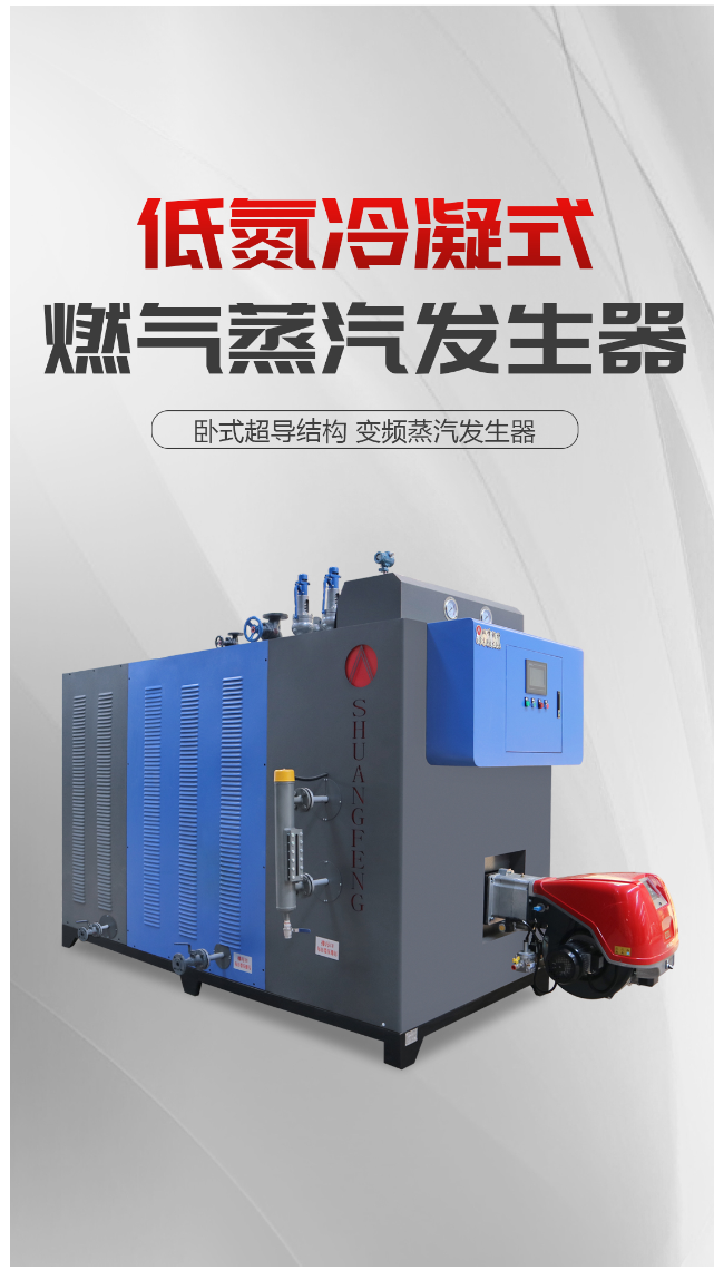 双峰锅炉低氮冷凝式燃气蒸汽发生器
