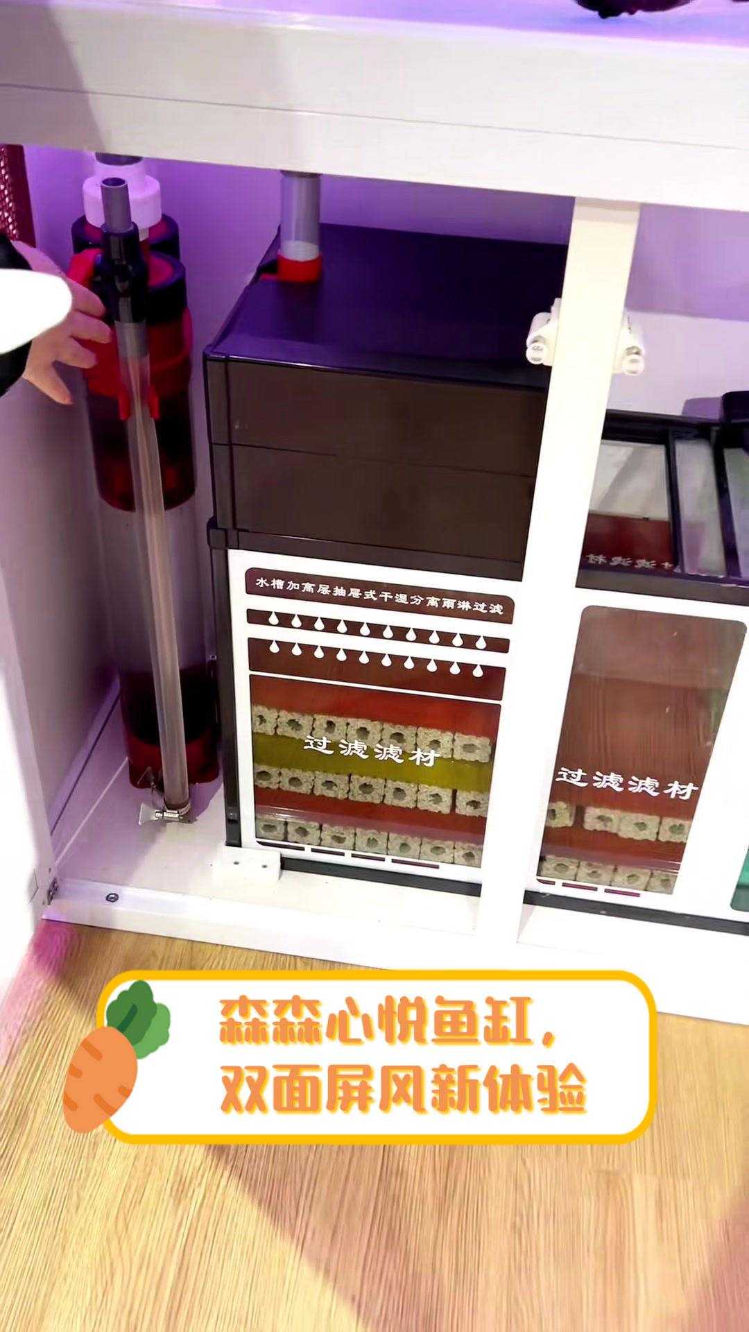 森森心悦鱼缸，双面屏风新体验