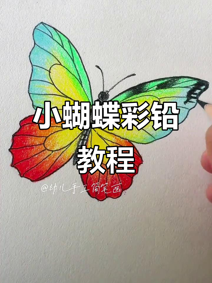 彩色立体小蝴蝶画法，零基础也能轻松学会