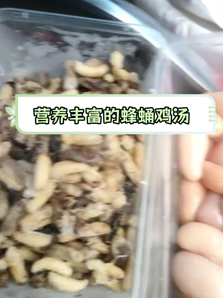 纯蜂蛹炖鸡,滋补美味