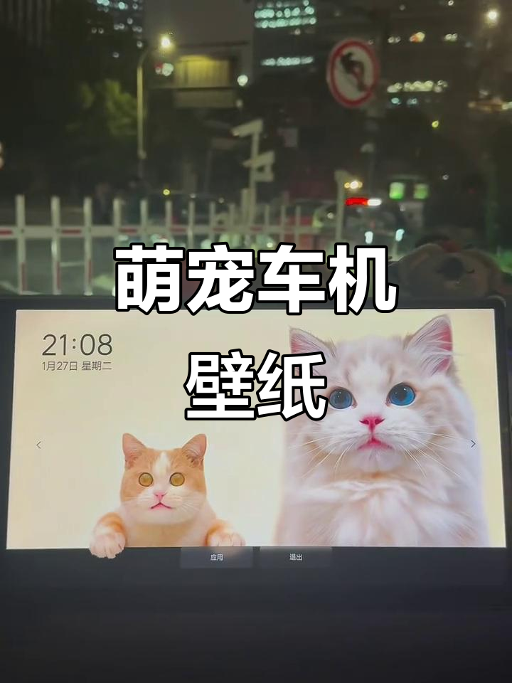 1月27日车机壁纸萌宠来袭,猫咪栩栩如生超诱人!