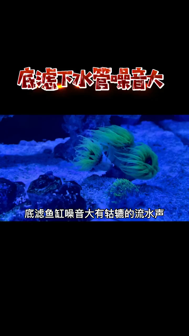 底滤鱼缸有咕噜的下水声