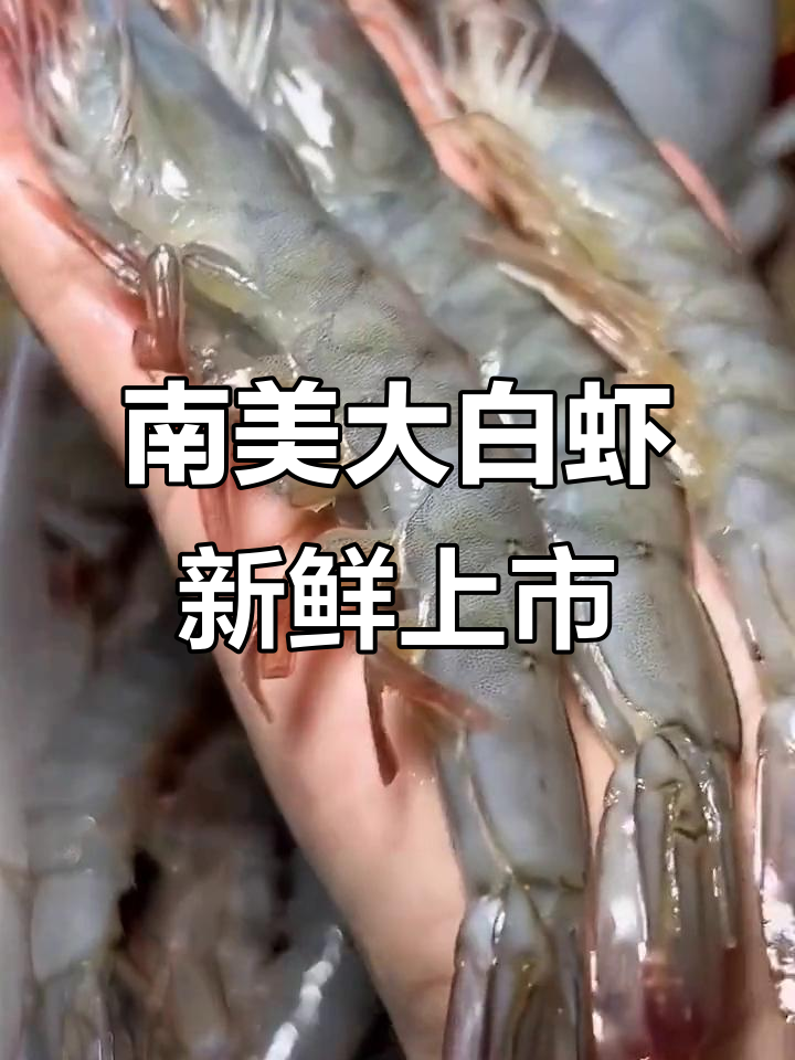 厄瓜多尔南美白对虾,秋季美味不容错过