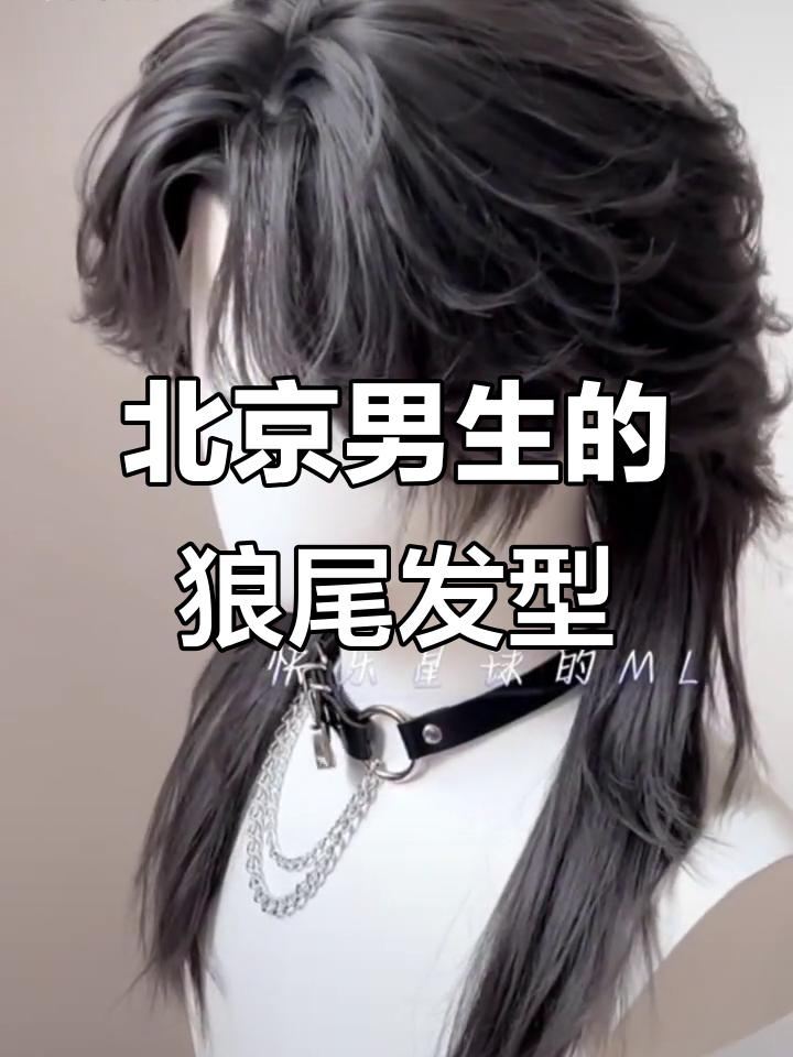狼尾鲻鱼头，北京男生必备发型