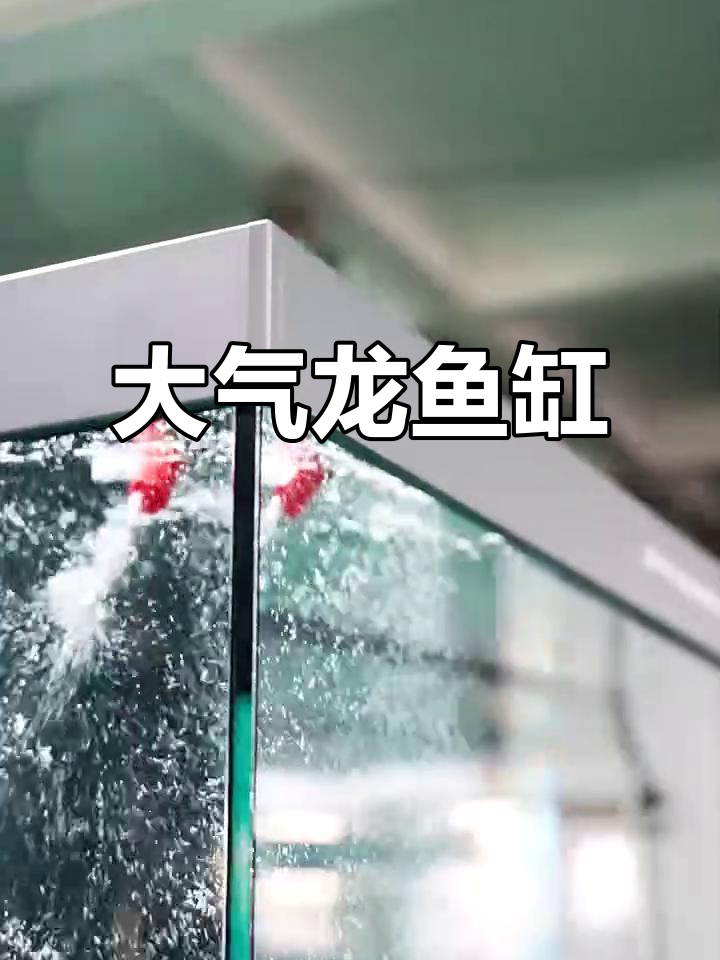 1.5米龙鱼缸,拿铁灰设计,家居风格尽显奢华
