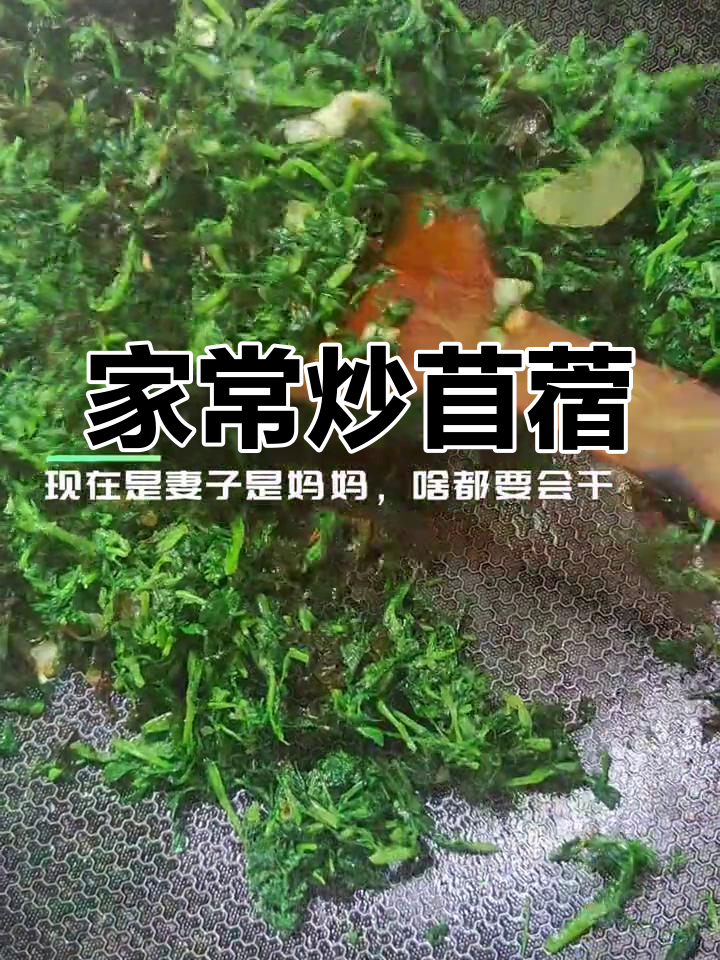 妈妈做的家常炒苜蓿菜