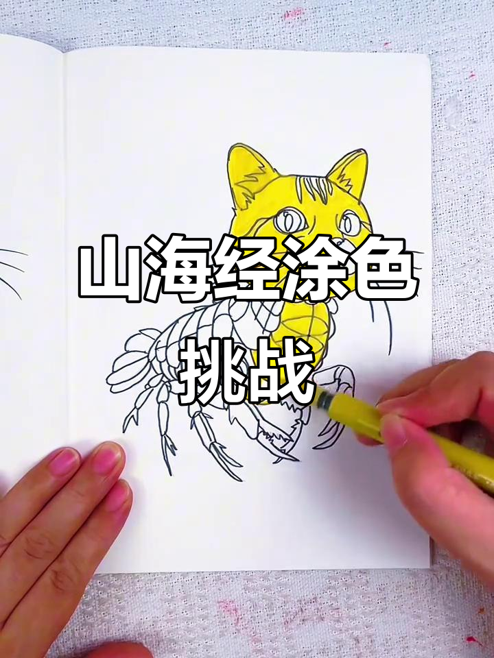 第一次尝试涂色,虾猫只得了30分,孩子却玩得不亦乐乎!