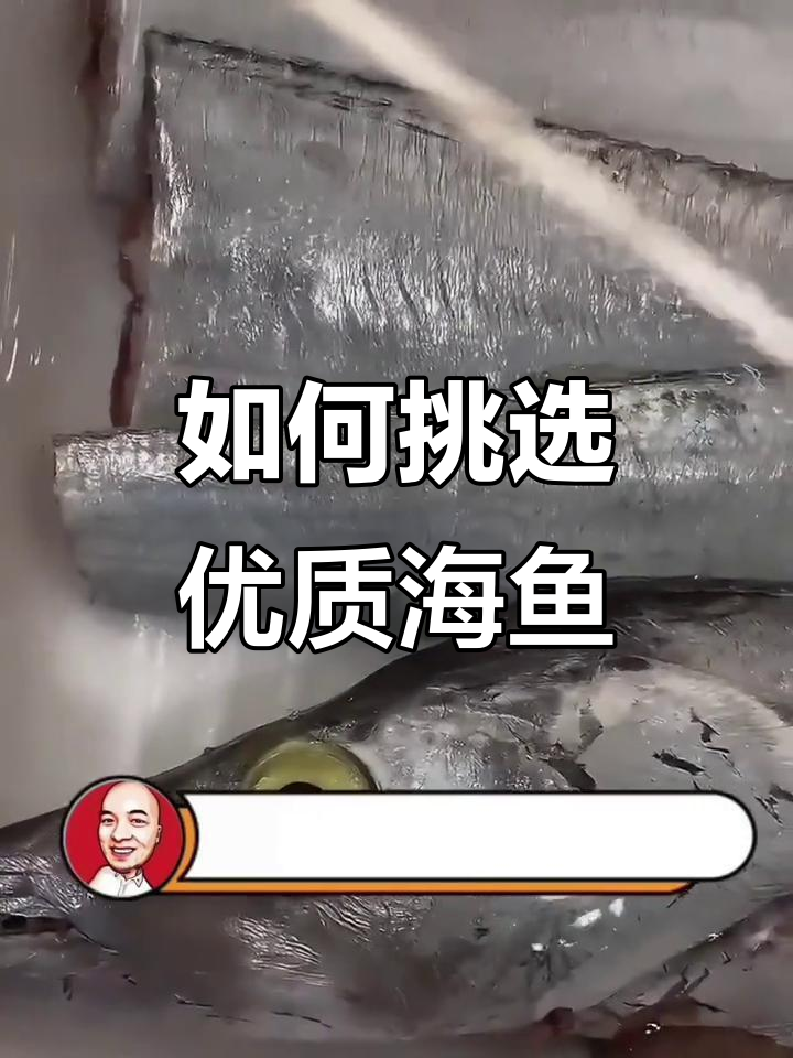 选海鱼必看!东海刀鱼和南海热带刀鱼的差别
