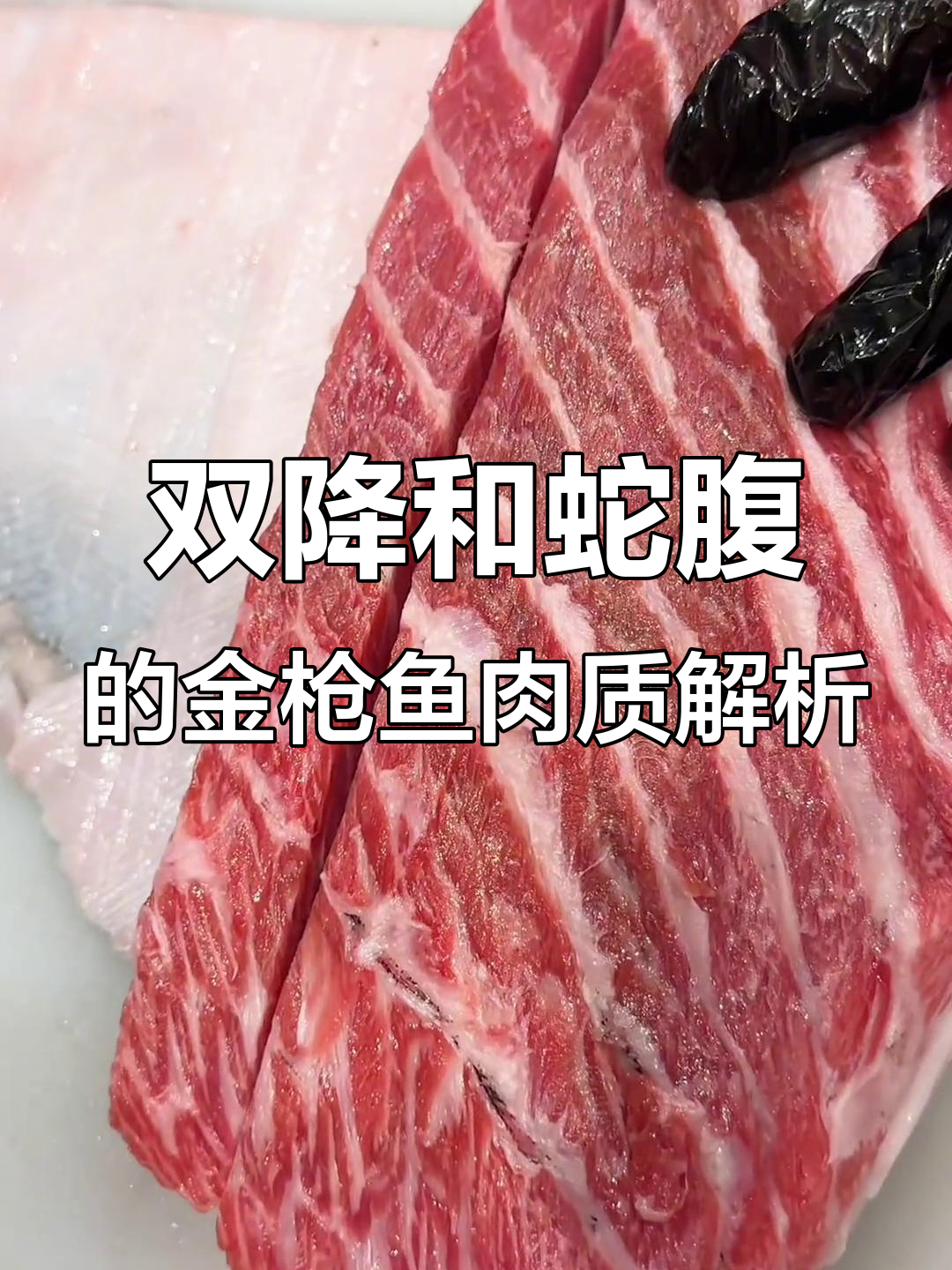 蓝鳍金枪鱼大揭秘:双降与蛇腹的秘密
