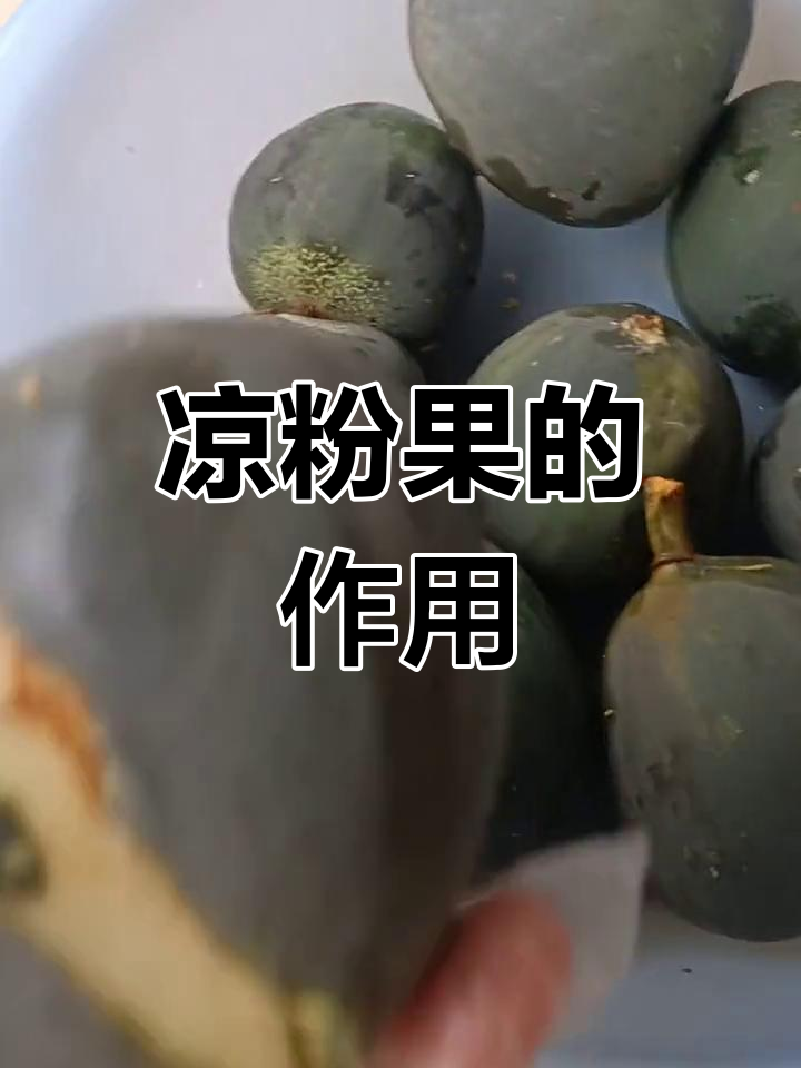 凉粉果的神奇功效,壳比籽更有价值