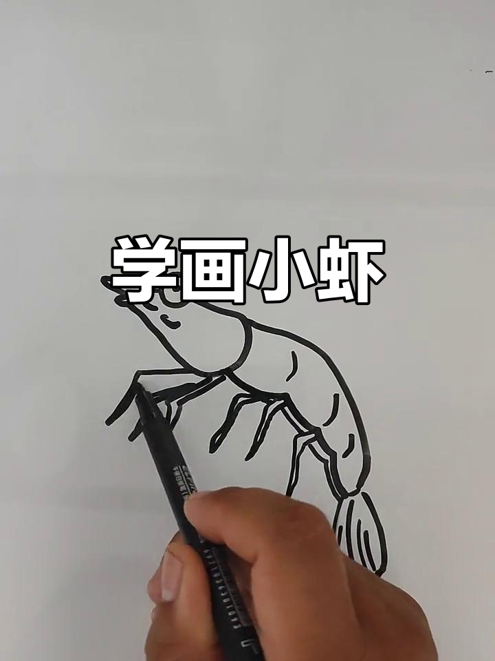 轻松学画可爱小虾，简单又有趣！