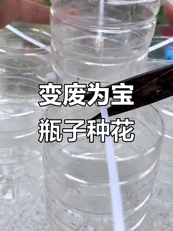废旧塑料瓶变花盆,DIY多肉植物种植器