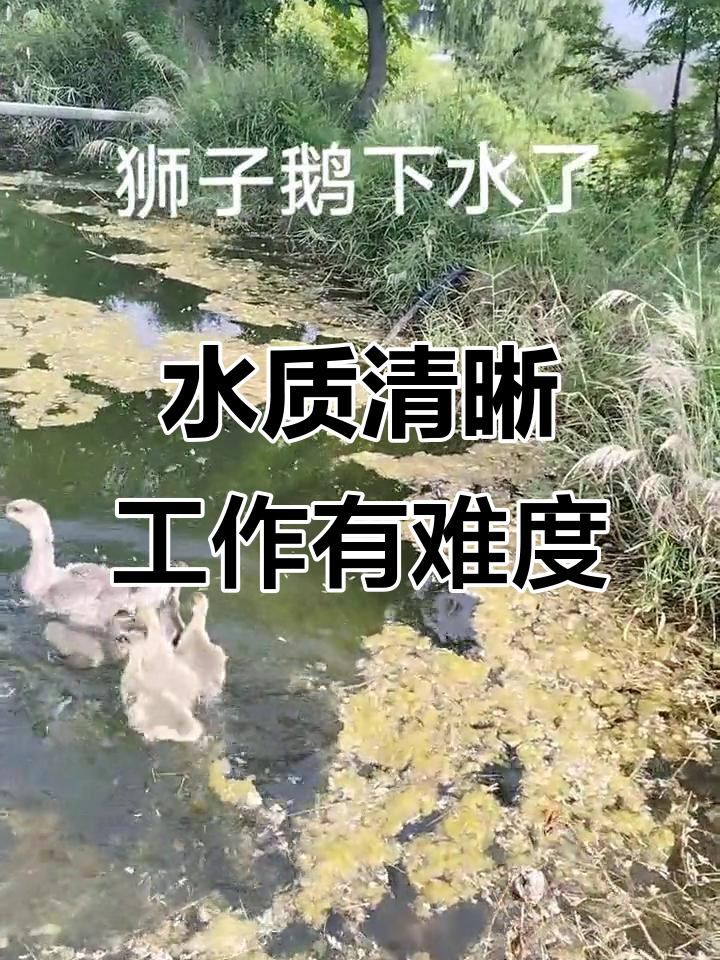 清澈见底的水,挑战与专业并存