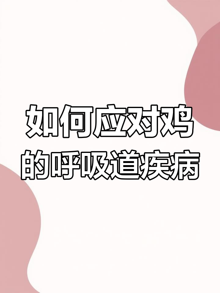 鸡得呼吸病?如何判断与防治传喉