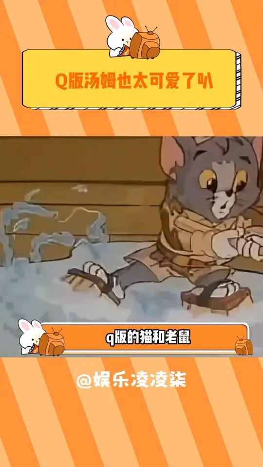 谁能拒绝一只这么可爱的小猫