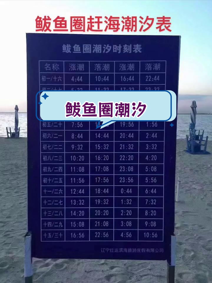 鲅鱼圈潮汐表,赶海必备信息