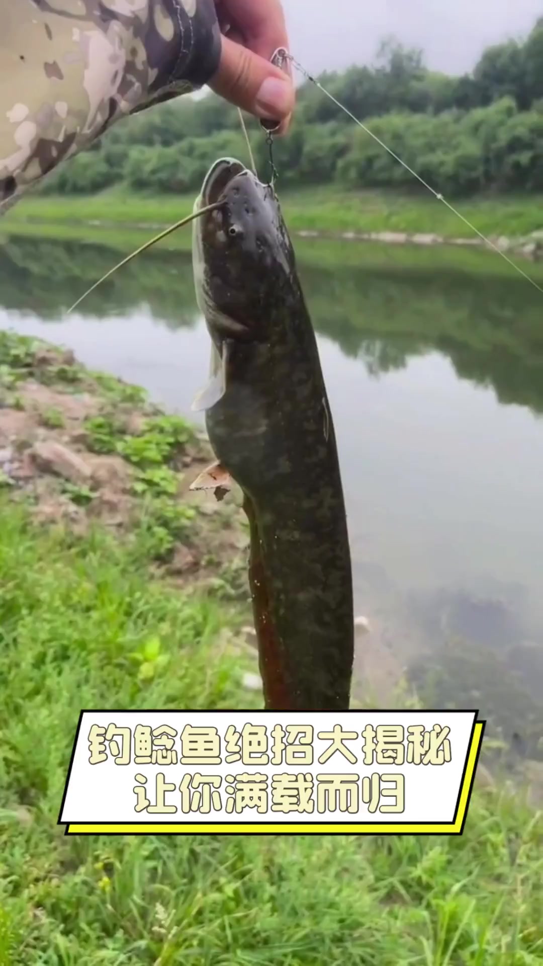 钓鲶鱼绝招大揭秘,让你满载而归