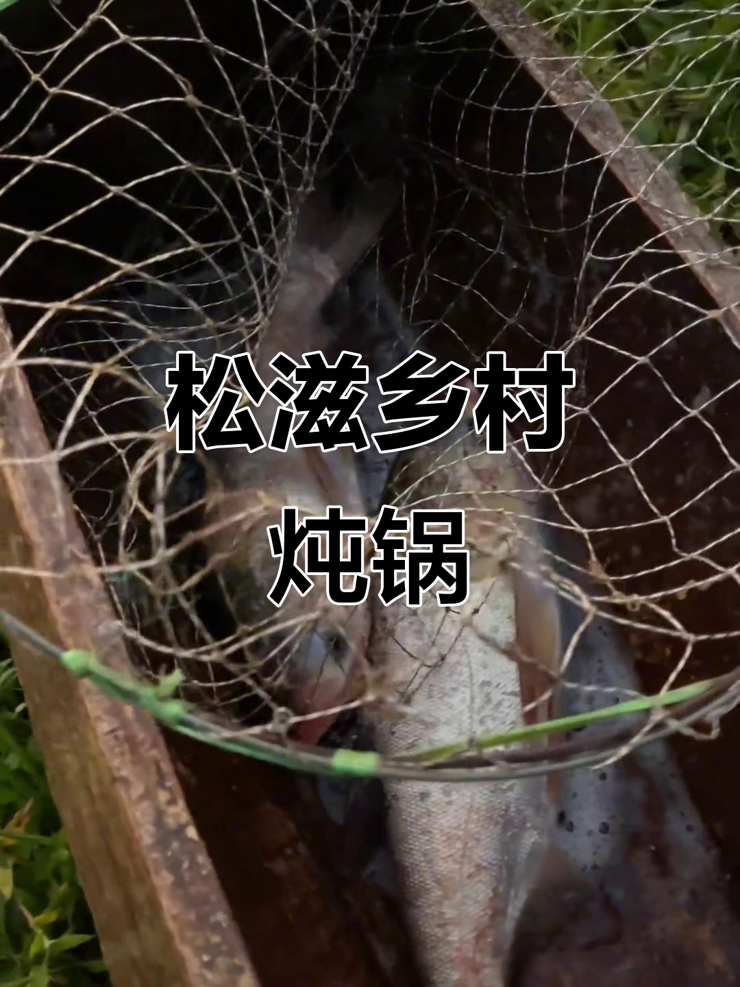 松滋木天河的乡村炖钵炉子,小酒品人生