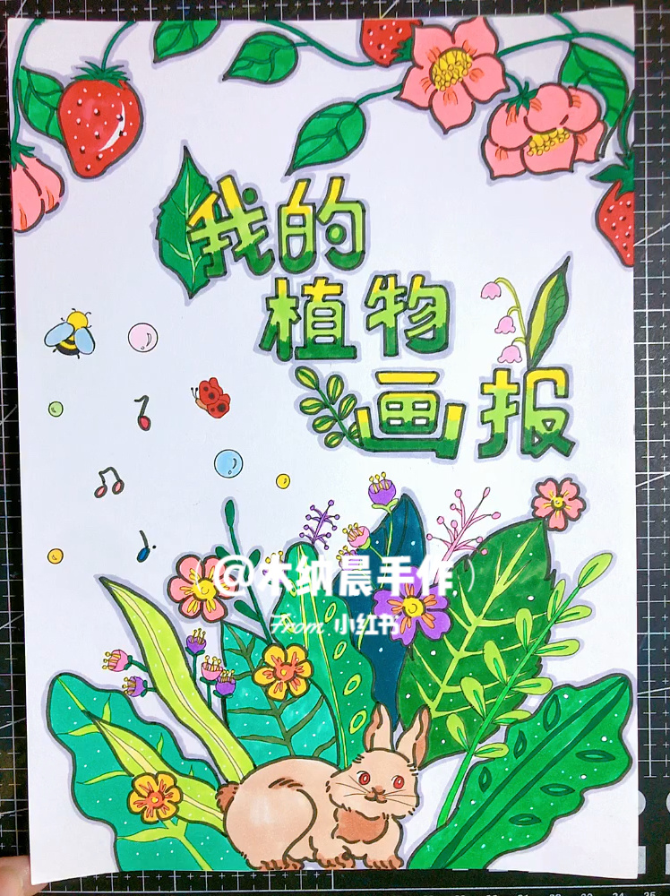 自然笔记 花卉植物画报 植物手抄报 画册