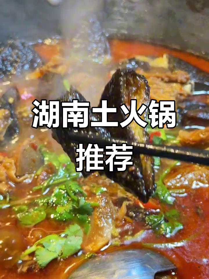 石家庄尝正宗湖南火锅,老鸭肉香四溢,蛋黄土豆丝超赞!