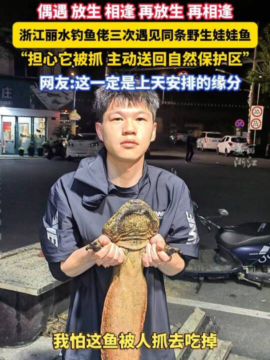 偶遇 放生 相逢 再放生 再相逢!浙江丽水钓鱼佬与野生娃娃鱼上演三遇奇缘!#美丽主播说新闻
