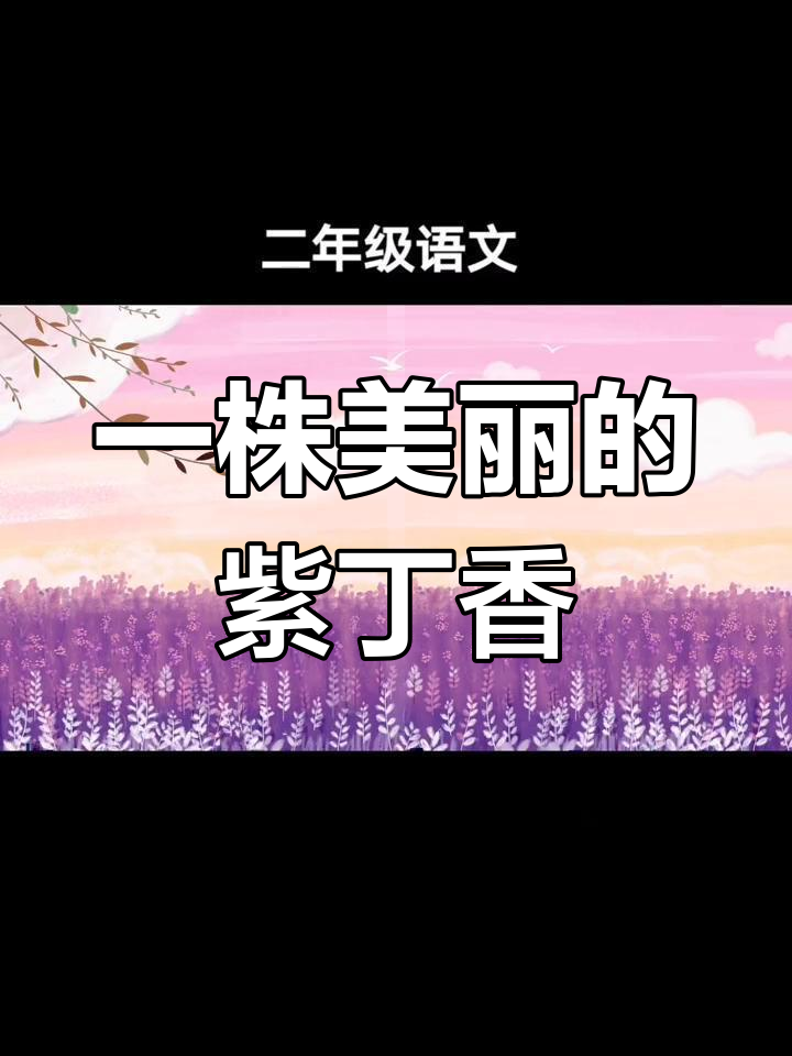 紫丁香的秘密
