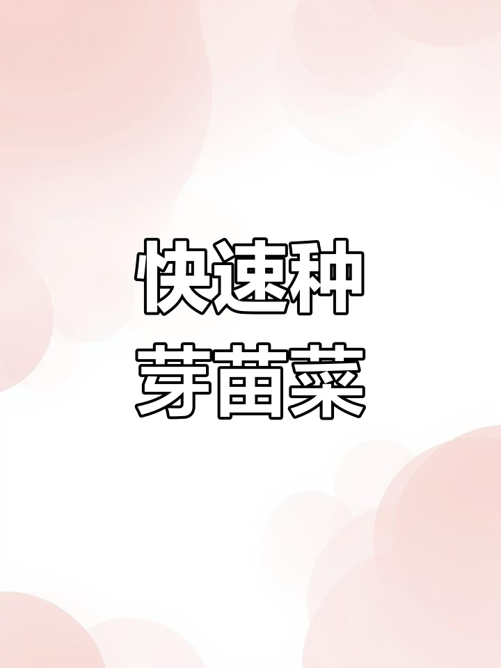 简单种植芽苗菜,5天收获新鲜蔬菜