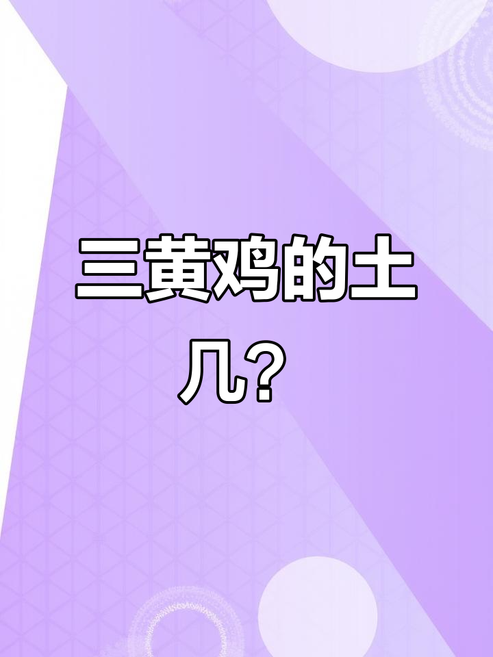 三黄鸡土1、2、8路,你抓的是哪一“土”?