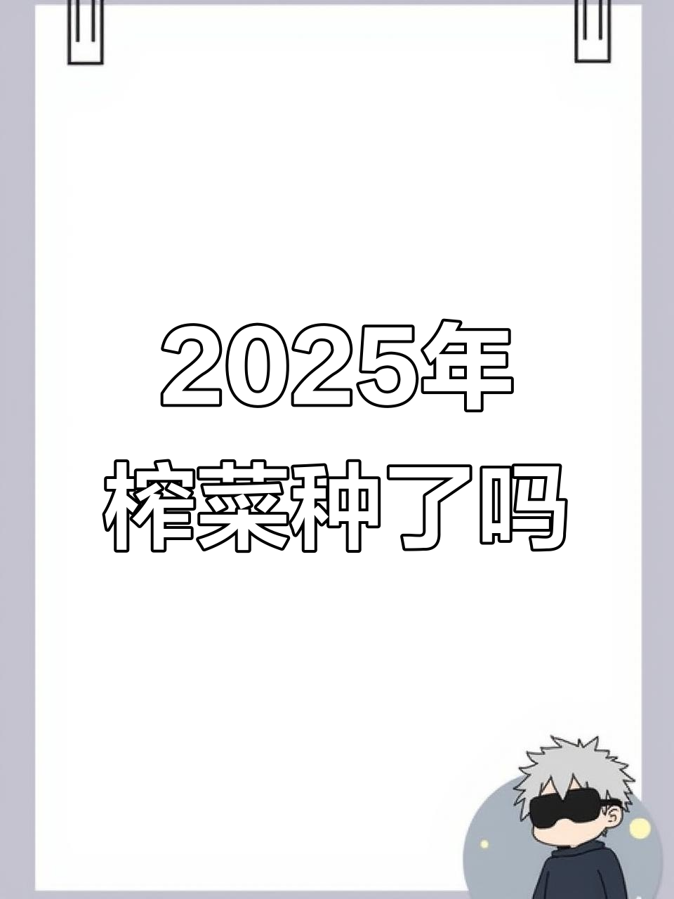 今年榨菜种植计划已定,苗子长得真不错