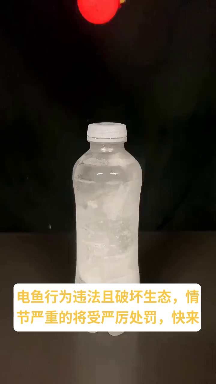 情节严重的电鱼行为会受到什么样的处罚