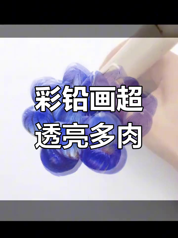 彩铅画晶莹剔透多肉,轻松掌握透明感技巧