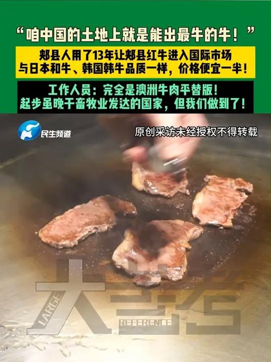 9月5日(发布),河南平顶山,“咱中国的土地上就是能出最牛的牛!”,郏县人用了13年让郏县