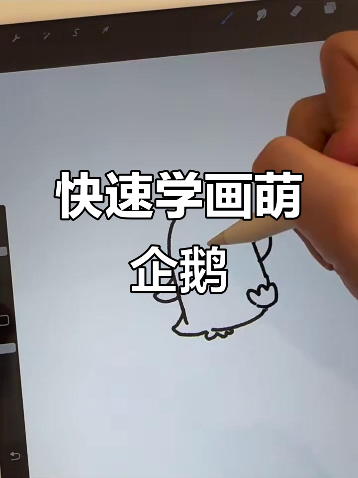 用粉笔单线画可爱企鹅,简单又有趣