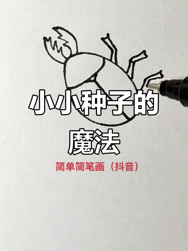 种子发芽,梦想成真!一起画出神奇愿望