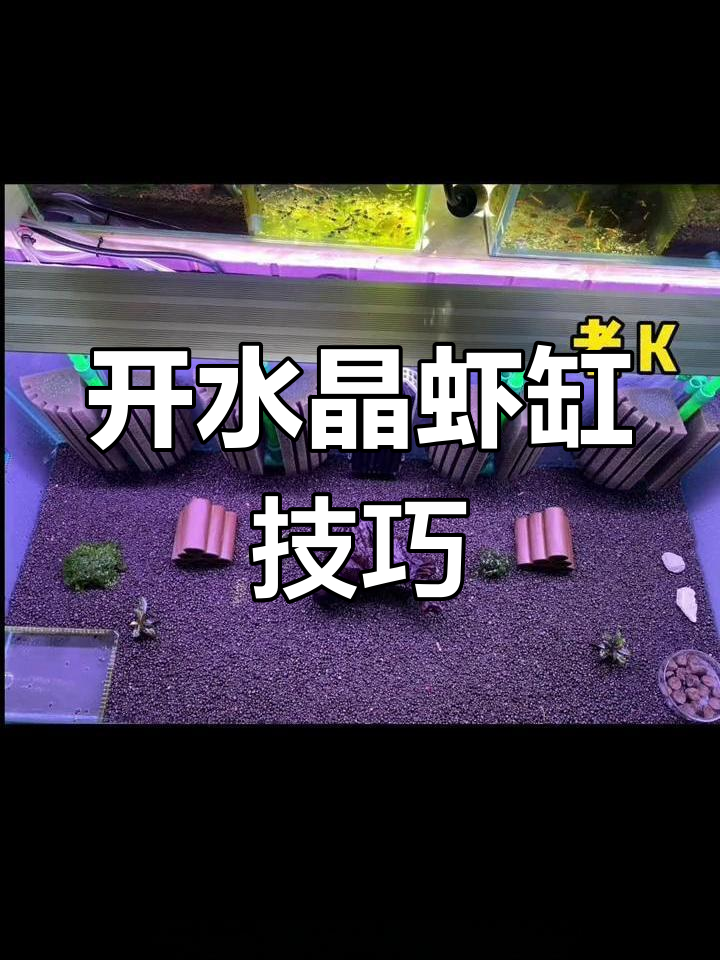 水晶虾缸开缸全流程