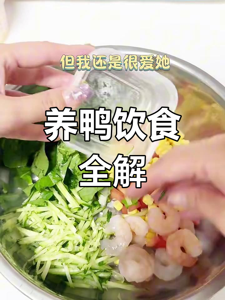 鸭鸭吃什么?养鸭必看攻略
